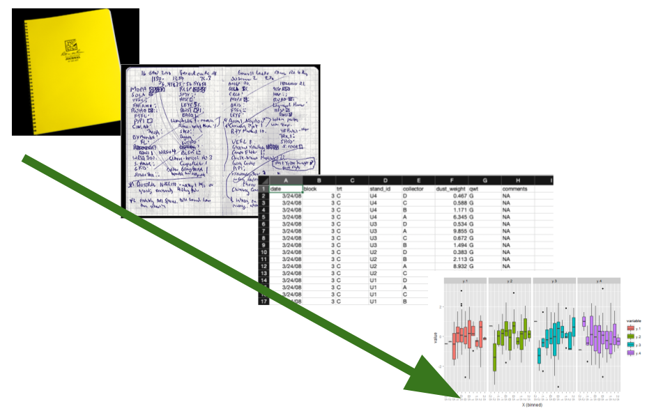 A sequence of images arranged in a line showing the data collection process from field notebook to analysis results.