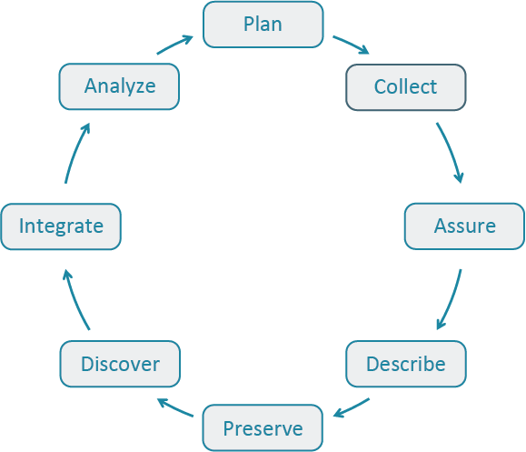 The DataONE data lifecycle from [@michener_ecoinformatics_2012]